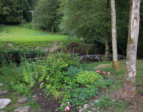 Jardin arrière du gîte