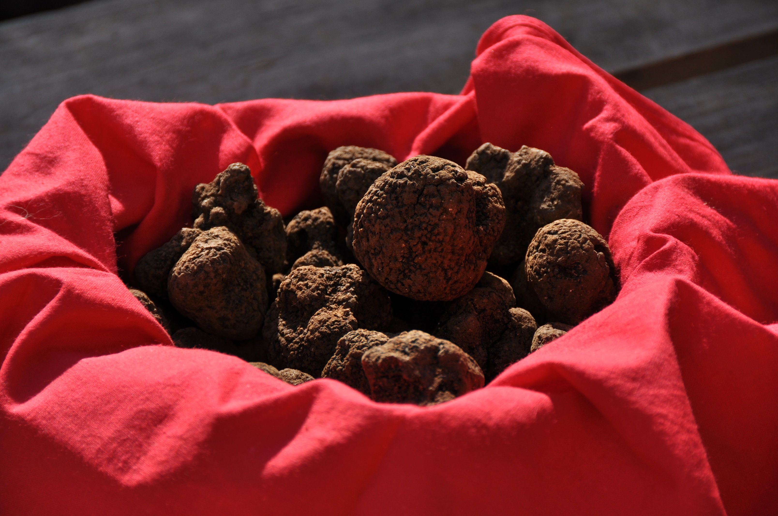 Truffes