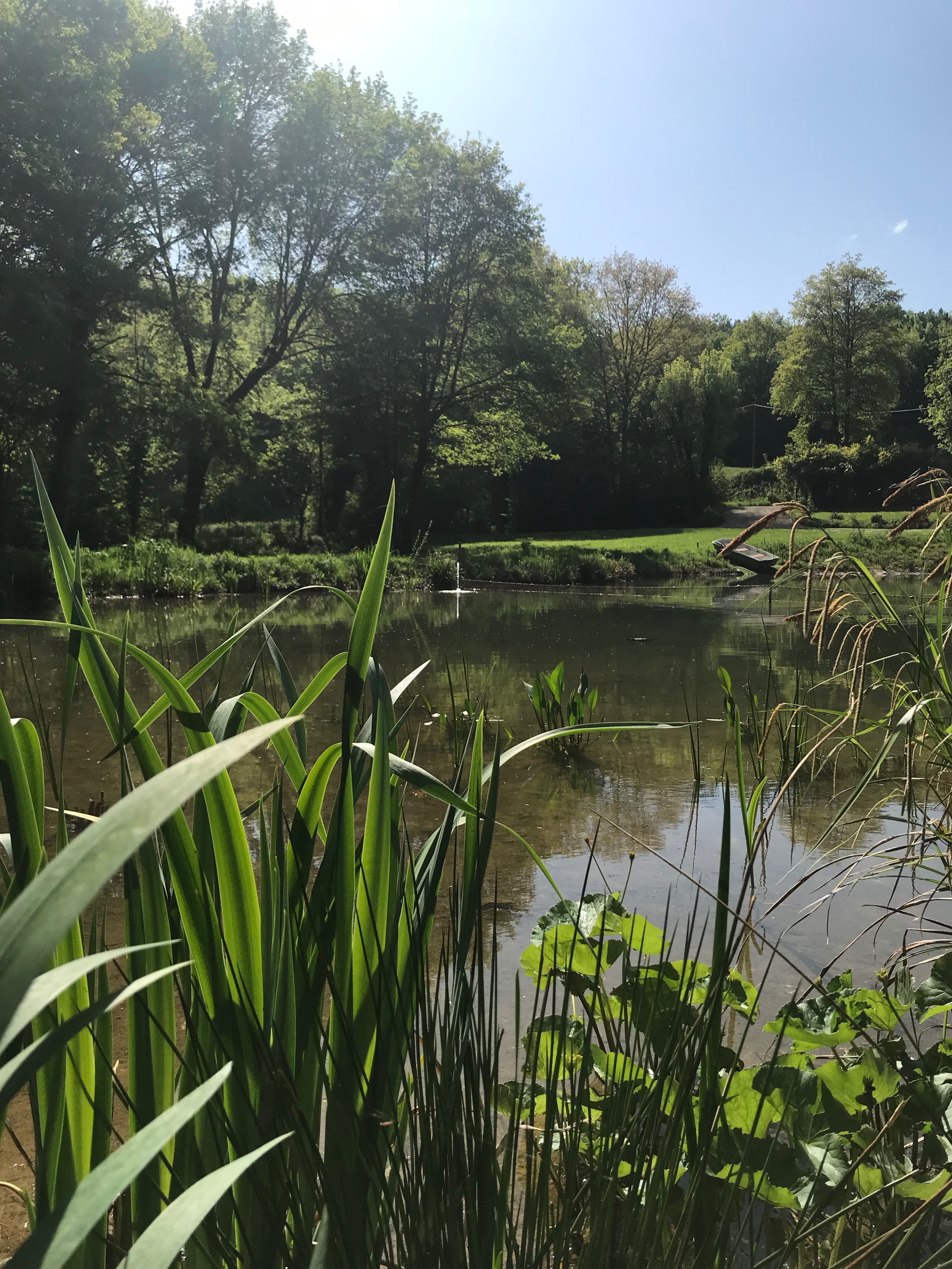 Zwemmen en natuur!