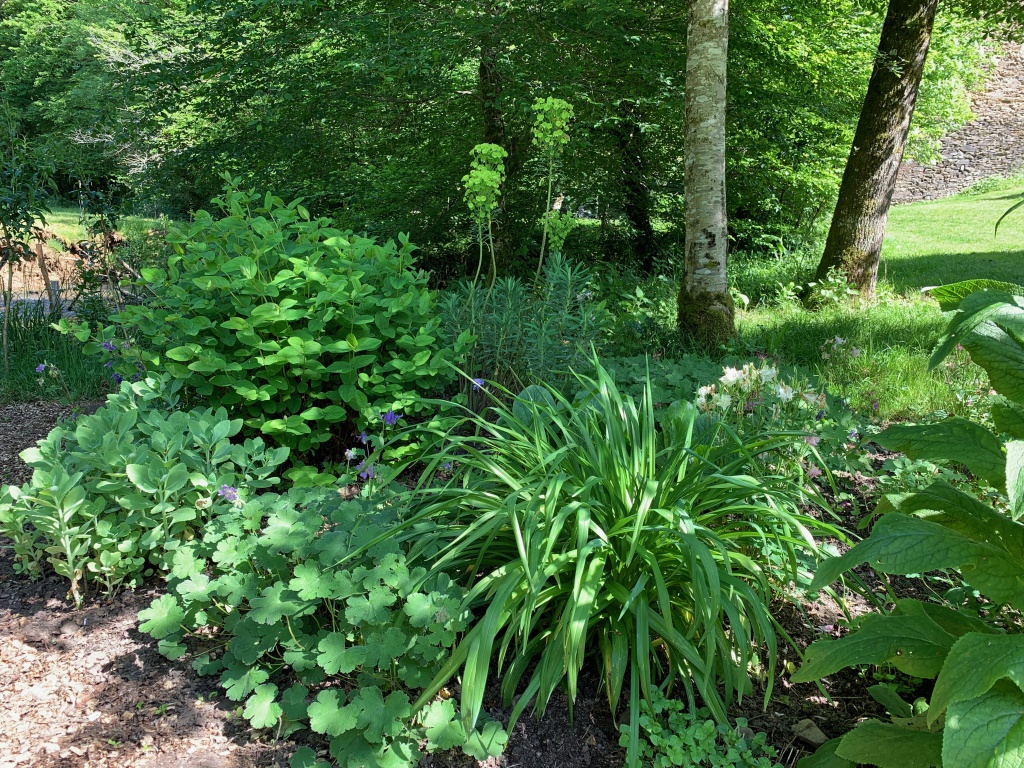 Achtertuin Gîte